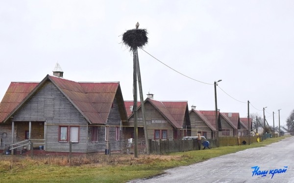 Фотофакт. Аисты прилетели Фотофакт. Аисты прилетели