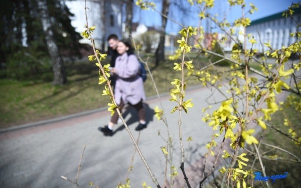 Фоторепортаж. Апрельское настроение Барановичей Фоторепортаж. Апрельское настроение Барановичей