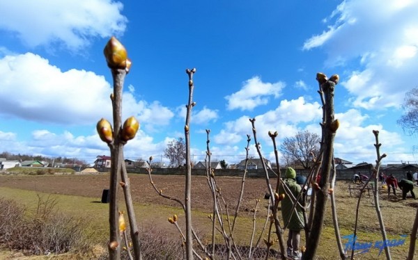 Когда наступит настоящее тепло? Подробный прогноз на неделю в Барановичском регионе Когда наступит настоящее тепло? Подробный прогноз на неделю в Барановичском регионе