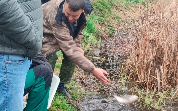 Жители агрогородка в Барановичском районе сами зарыбили водоем