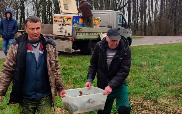 Жители агрогородка в Барановичском районе сами зарыбили водоем