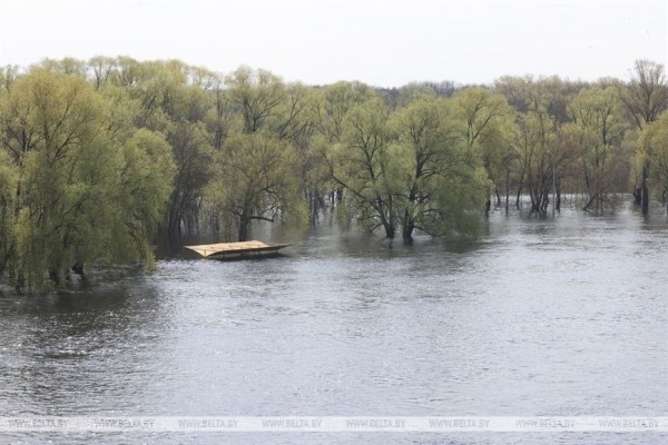 Паводок в Гомеле. Фотофакт Паводок в Гомеле. Фотофакт
