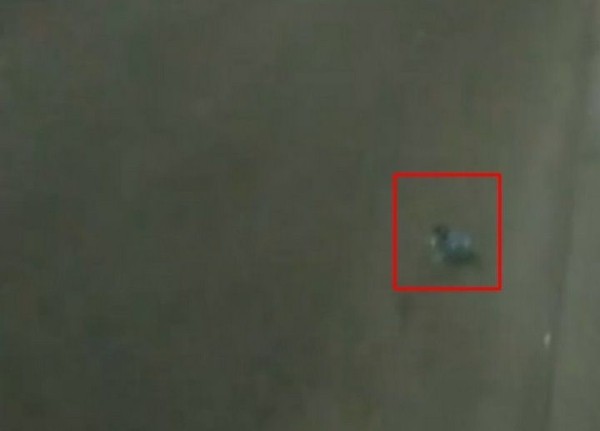 
                Читатель: В Бресте прошлой ночью на Машерова из авто выкинули несколько бутылок из под водки.
            