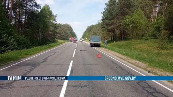 Сбитый лось приземлился на крышу ехавшего МАЗа. Погиб водитель легковушки Сбитый лось приземлился на крышу ехавшего МАЗа. Погиб водитель легковушки