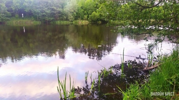 Выходной и ночная рыбалка жителя Бреста
Выходной и ночная рыбалка жителя Бреста