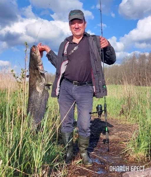 Читатель: 45 кг! Вот такого огромного сома поймал житель Брестской области
Читатель: 45 кг! Вот такого огромного сома поймал житель Брестской области