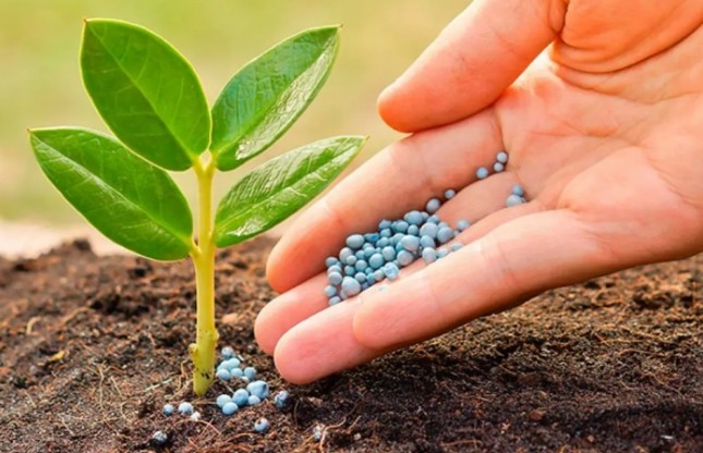 ТОП-5 компаний по продаже средств для защиты растений