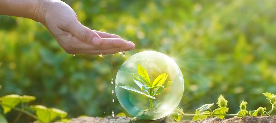 ТОП-5 компаний по продаже средств для защиты растений