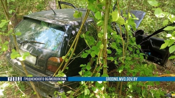 Сбитый лось приземлился на крышу ехавшего МАЗа. Погиб водитель легковушки Сбитый лось приземлился на крышу ехавшего МАЗа. Погиб водитель легковушки