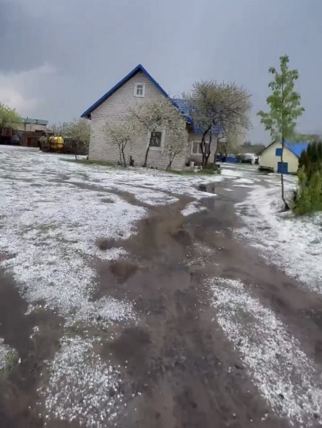 В агрогородке Межлесье Лунинецкого района град повредил плодовые деревья и саженцы