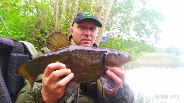 Выходной и ночная рыбалка жителя Бреста
Выходной и ночная рыбалка жителя Бреста