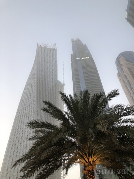 Наши в Дубае! Брестчанка рассказала о спонтанном переезде в ОАЭ, новой работе, ценах на жилье и продукты Наши в Дубае! Брестчанка рассказала о спонтанном переезде в ОАЭ, новой работе, ценах на жилье и продукты