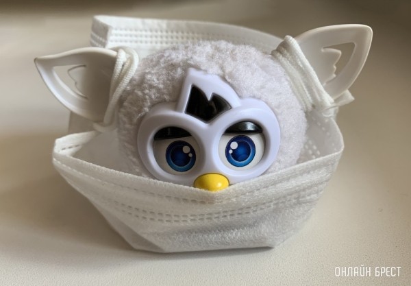 В Беларуси усилены санитарно-карантинные меры контроля из-за оспы обезьян