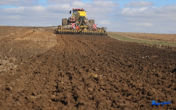 Белорусские аграрии завершили посадку овощей на сельскохозяйственных угодьях