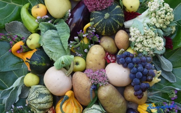 Что будет с ценами на овощи