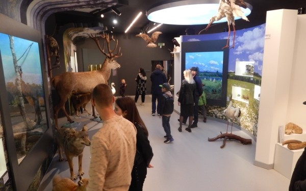 Барановичский краеведческий музей принял активное участие в торжествах по случаю Дня Победы