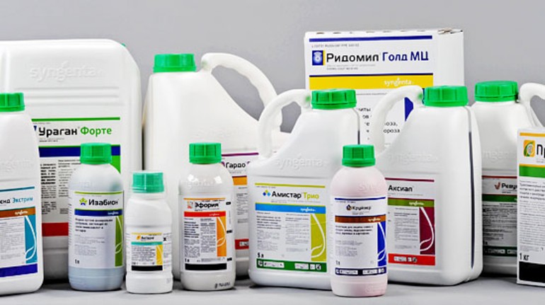 ТОП-5 компаний по продаже средств для защиты растений
