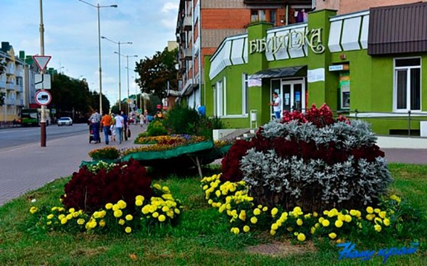 Жителей Барановичей в пижамах приглашают на библионочь «Не проспи! 20:22»