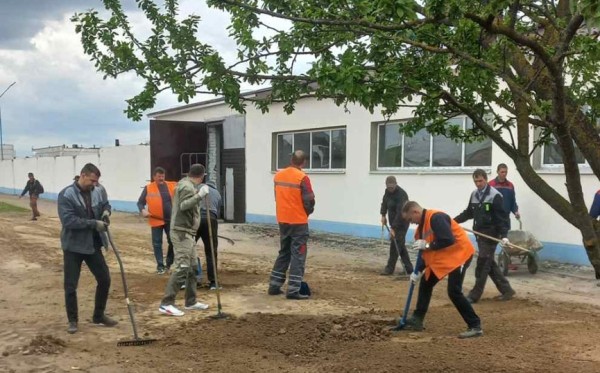 Фотофакт. Барановичский автопарк облагораживает улицу Грунтовую