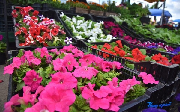  Фоторепортаж. Что продают на рынке в Барановичах и почем?