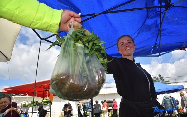  Фоторепортаж. Что продают на рынке в Барановичах и почем?