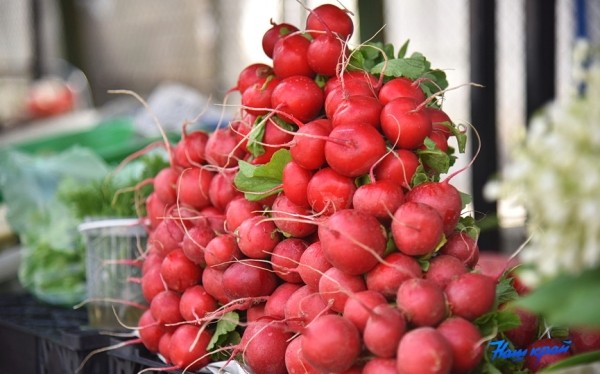  Фоторепортаж. Что продают на рынке в Барановичах и почем?