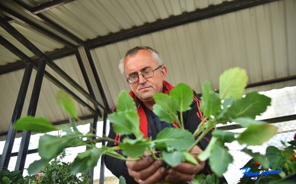  Фоторепортаж. Что продают на рынке в Барановичах и почем?