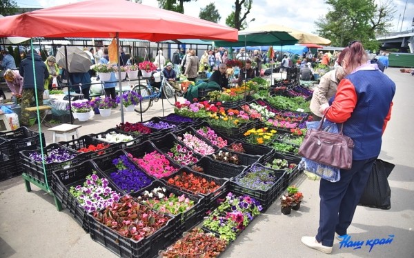  Фоторепортаж. Что продают на рынке в Барановичах и почем?