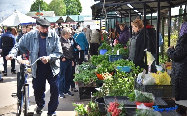  Фоторепортаж. Что продают на рынке в Барановичах и почем?