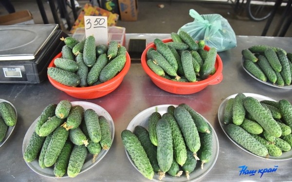  Фоторепортаж. Что продают на рынке в Барановичах и почем?