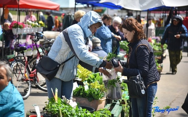  Фоторепортаж. Что продают на рынке в Барановичах и почем?