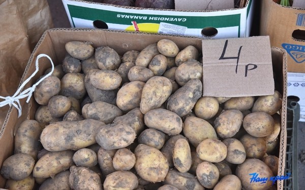  Фоторепортаж. Что продают на рынке в Барановичах и почем?