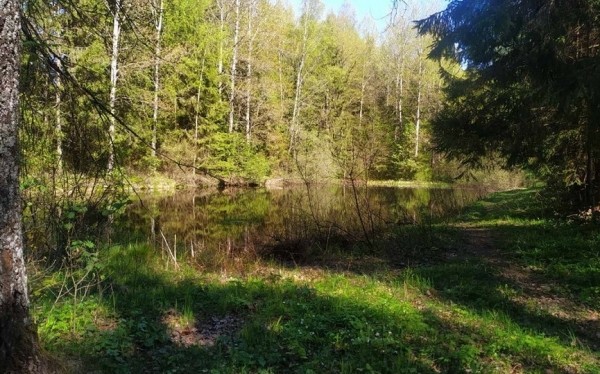 Несчастный случай в Докшицком районе: ребенок утонул в водоеме за домом Несчастный случай в Докшицком районе: ребенок утонул в водоеме за домом