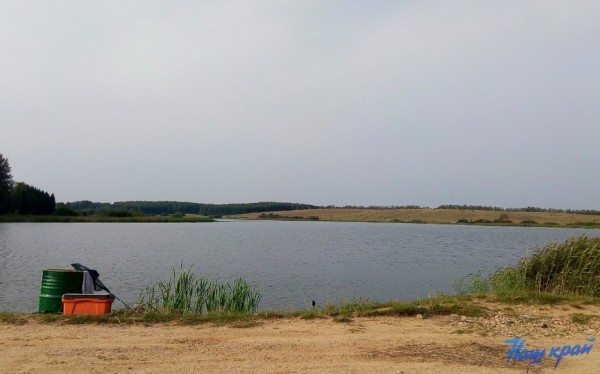 О запрете вылова сома обыкновенного напоминают рыболовам-любителям О запрете вылова сома обыкновенного напоминают рыболовам-любителям