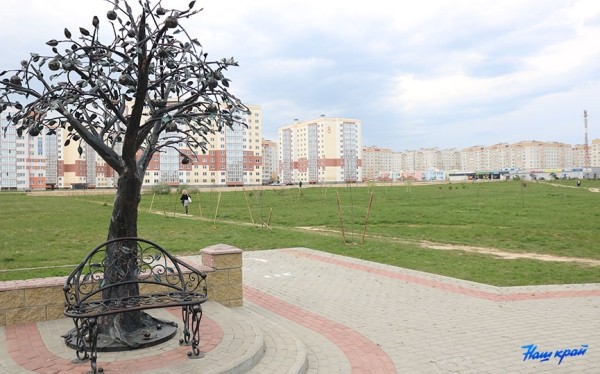 Под контролем. В каком состоянии парк в Боровках спустя неделю после визита мэра?