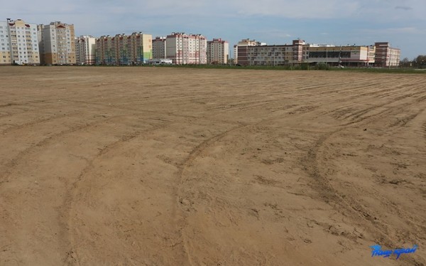 Под контролем. В каком состоянии парк в Боровках спустя неделю после визита мэра?