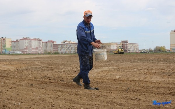 Под контролем. В каком состоянии парк в Боровках спустя неделю после визита мэра?