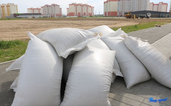 Под контролем. В каком состоянии парк в Боровках спустя неделю после визита мэра?