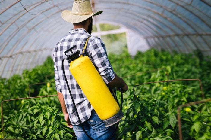 ТОП-5 компаний по продаже средств для защиты растений