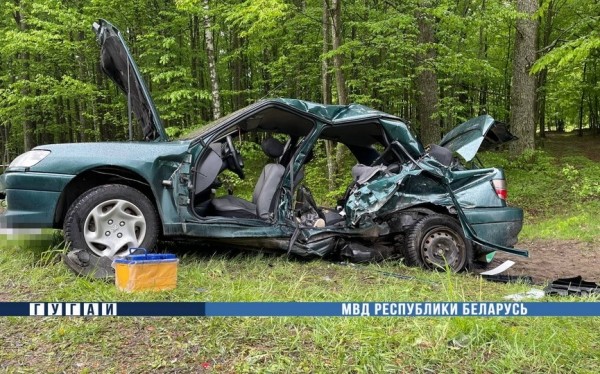 В ДТП в Речицком районе погибли двое детей В ДТП в Речицком районе погибли двое детей