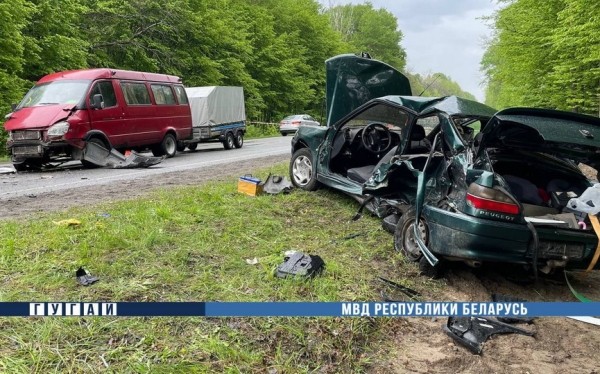 В ДТП в Речицком районе погибли двое детей В ДТП в Речицком районе погибли двое детей