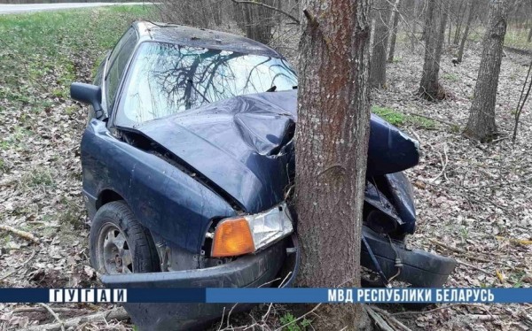 В Кобринском районе водитель уснул за рулем и въехал в дерево