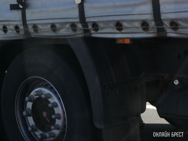 В Эстонии белоруса сняли с фуры из-за поврежденных прав В Эстонии белоруса сняли с фуры из-за поврежденных прав