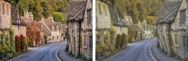 Разительная разница. Ученые показали, как видят мир люди и собаки