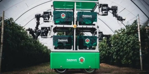 В Португалии заработали первые в мире роботы по сбору малины В Португалии заработали первые в мире роботы по сбору малины