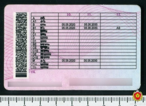 В Беларуси водитель предъявил ГАИ купленные в российском метро права В Беларуси водитель предъявил ГАИ купленные в российском метро права