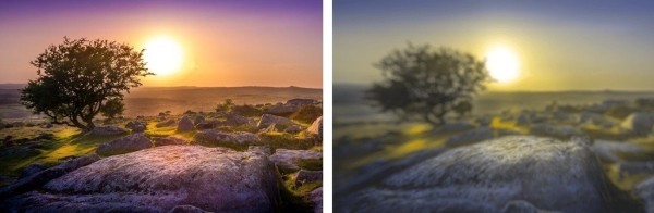 Разительная разница. Ученые показали, как видят мир люди и собаки