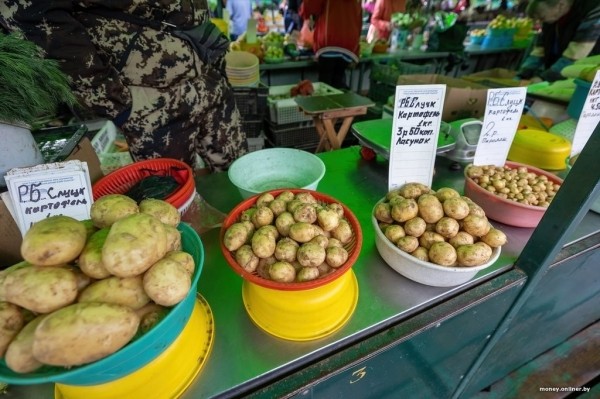 Наконец-то молодая белорусская картошка. Смотрим, почем у нас и у соседей