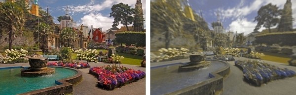 Разительная разница. Ученые показали, как видят мир люди и собаки