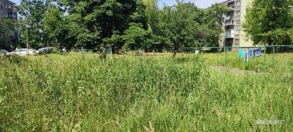 Читатель: Брест, ул. Я.Купалы. Вон какая трава вымахала
             
                Читатель: Брест, ул. Я.Купалы. Вон какая трава вымахала